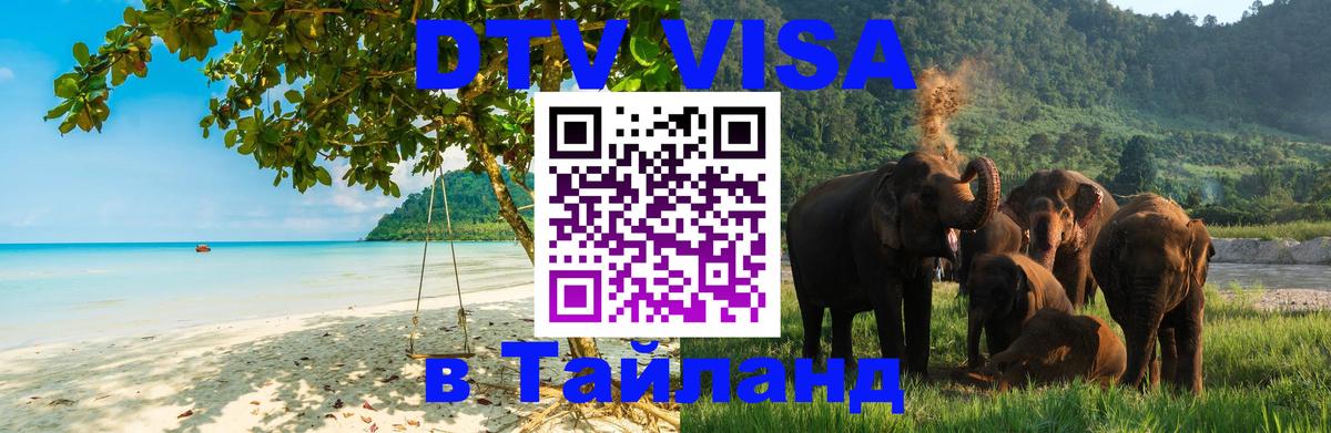 Сколько стоит DTV виза — актуальные цены, оформление даже без документов - Ставрополь  20.11.2025 